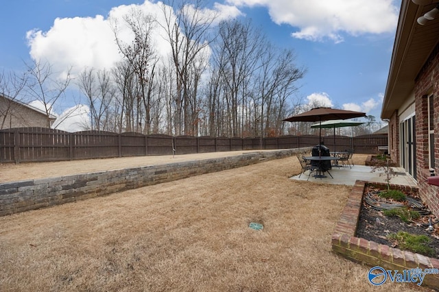 view of yard with a patio