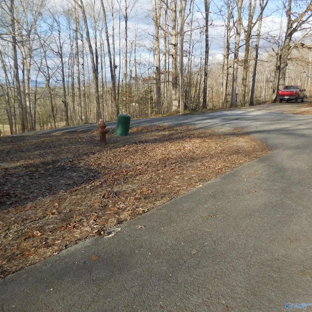 Listing photo 3 for 5 Newport Dr, Scottsboro AL 35768