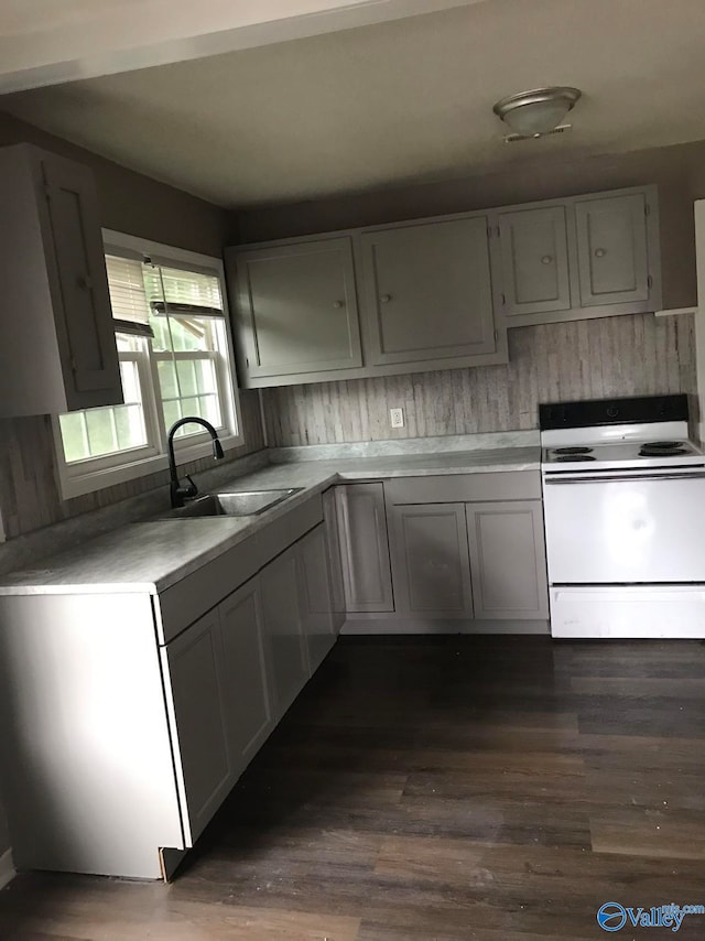 kitchen featuring dark hardwood / wood-style flooring, white electric range oven, and sink