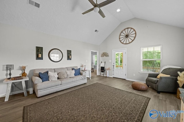 713 Rabbittown Rd, Glencoe, AL 35905 - living room with high vaulted ceiling, a ceiling fan, wood finished floors, and baseboards