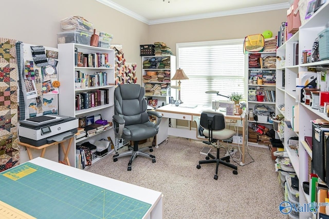 office space with crown molding and carpet flooring