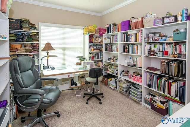 carpeted office with ornamental molding