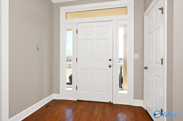 entrance foyer with dark wood-type flooring