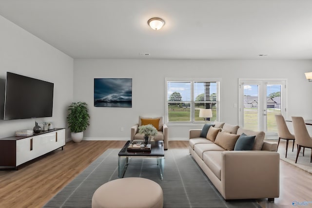 living room featuring wood-type flooring