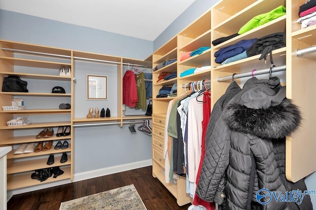 walk in closet featuring dark wood-type flooring