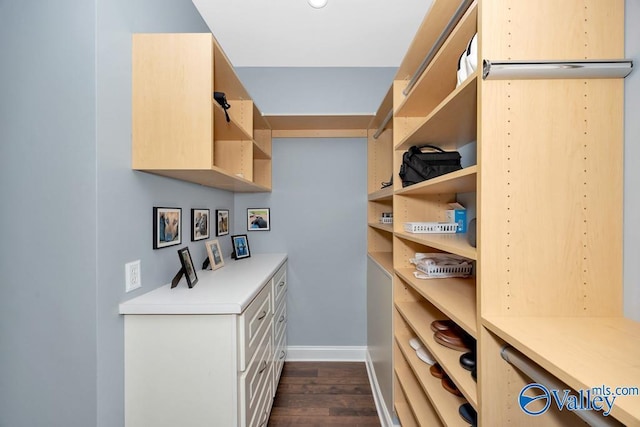 walk in closet with dark wood finished floors