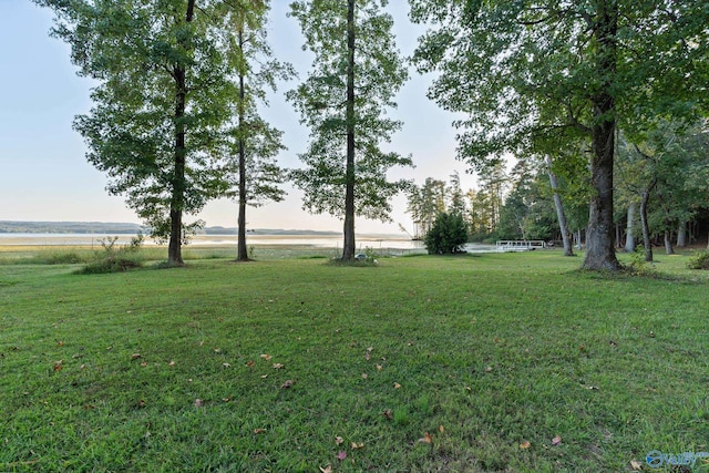 view of yard with a water view