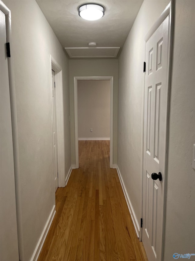 hallway featuring light hardwood / wood-style flooring