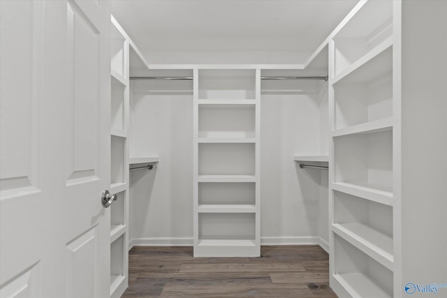 spacious closet with wood finished floors