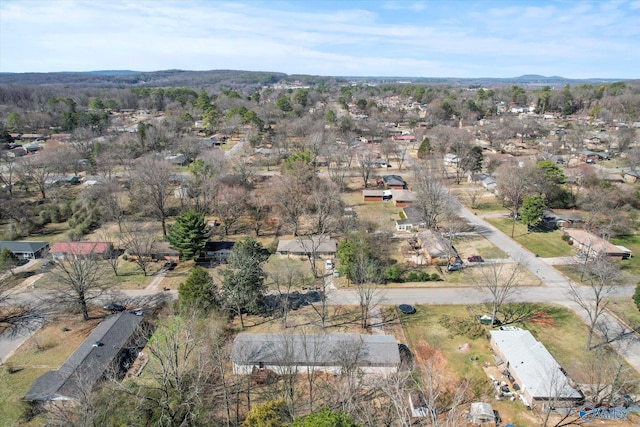 bird's eye view