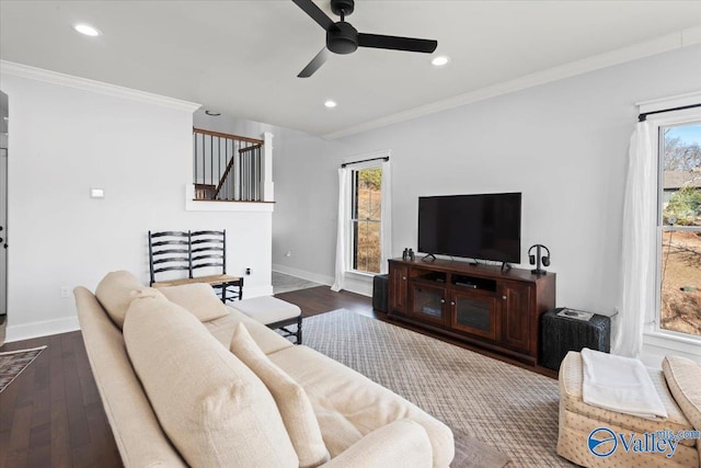 living room featuring crown molding, dark wood-type flooring, and a wealth of natural light