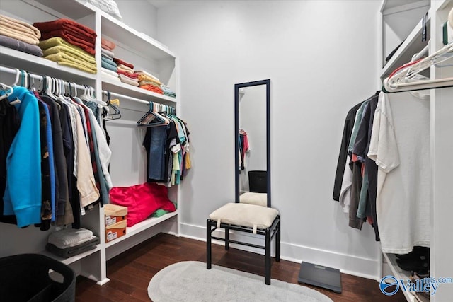 spacious closet with dark wood-type flooring