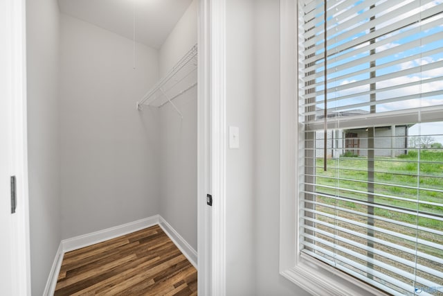 walk in closet with dark wood finished floors