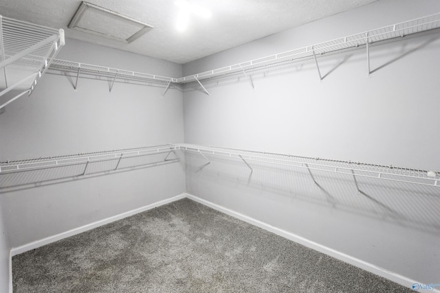 3790 Christopher Ave, Southside, AL 35907 - walk in closet featuring attic access and carpet flooring