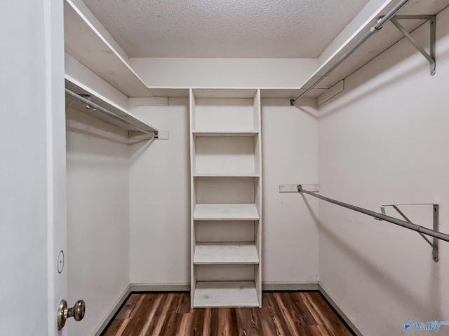 spacious closet featuring dark hardwood / wood-style floors