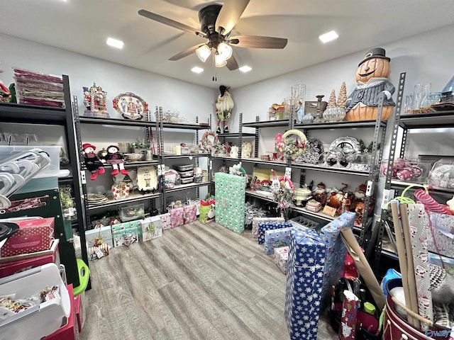 storage room with ceiling fan