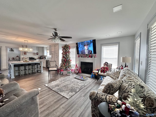 living room featuring ceiling fan, plenty of natural light, and hardwood / wood-style floors