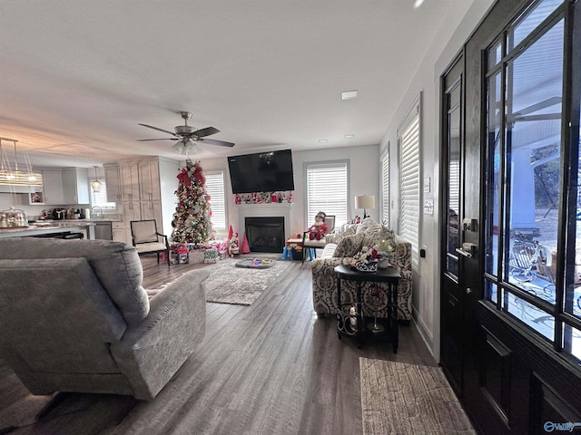 living room with ceiling fan and wood-type flooring