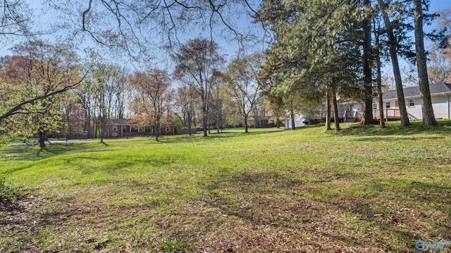 3000 Eolyne Kelly Way NE, Huntsville, AL 35811 - view of yard