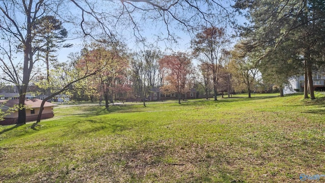 3000 Eolyne Kelly Way NE, Huntsville, AL 35811 - view of yard