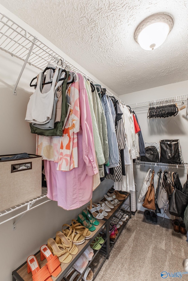 walk in closet featuring carpet