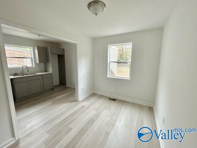 interior space featuring sink, a healthy amount of sunlight, and light hardwood / wood-style floors