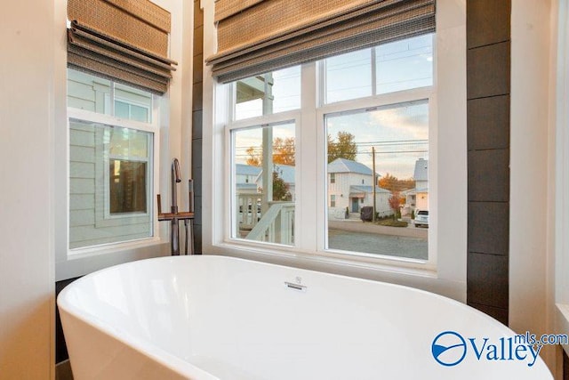 interior details featuring a soaking tub