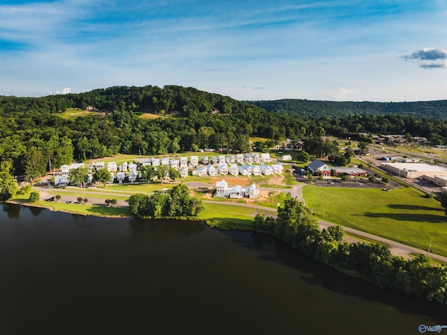 bird's eye view with a water view and a wooded view