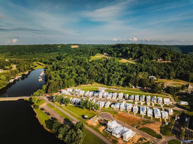 bird's eye view with a water view and a forest view