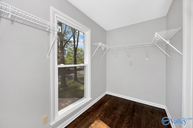 spacious closet with wood finished floors