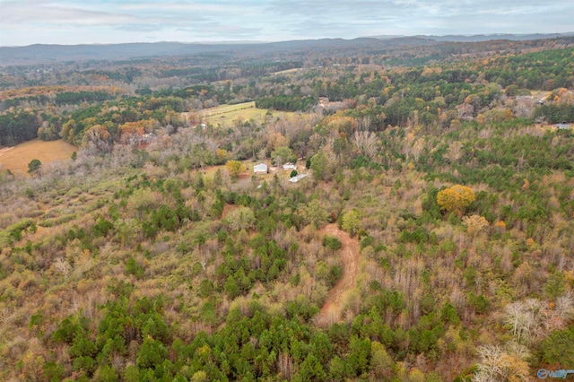 bird's eye view