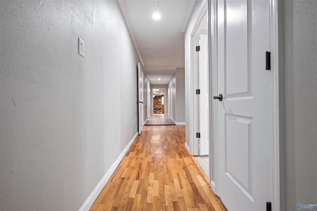 hall featuring light wood-type flooring and ornamental molding