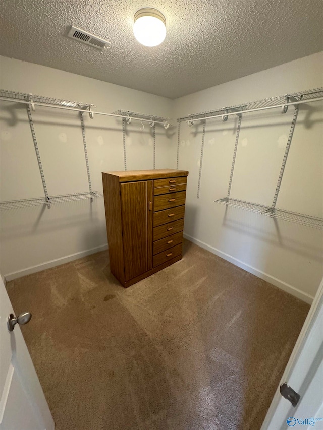 spacious closet with carpet flooring