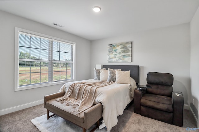 16821 Demi Dr, Athens, AL 35613 - bedroom featuring baseboards and carpet floors