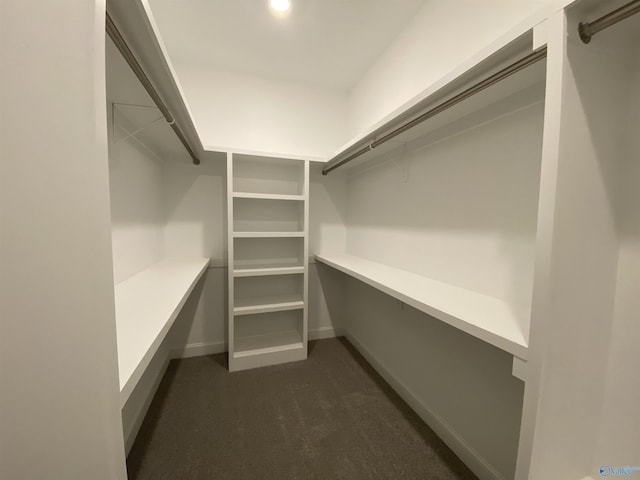 walk in closet featuring dark carpet