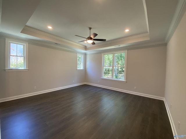 spare room with a raised ceiling, crown molding, dark wood-type flooring, and ceiling fan