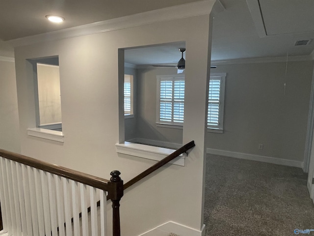 stairs featuring carpet and ornamental molding