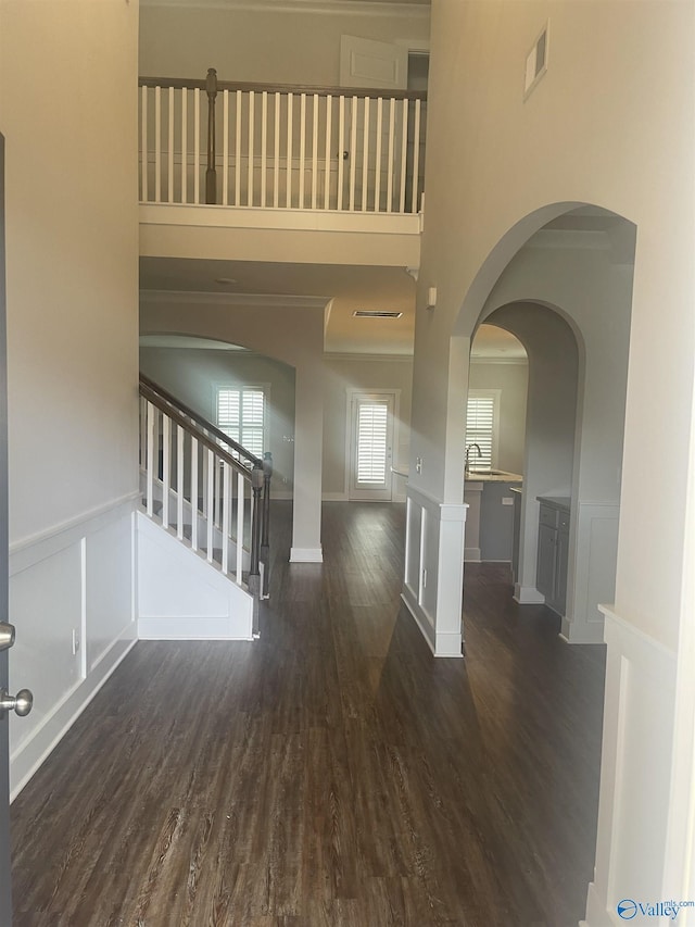 foyer with sink, a towering ceiling, and dark hardwood / wood-style floors