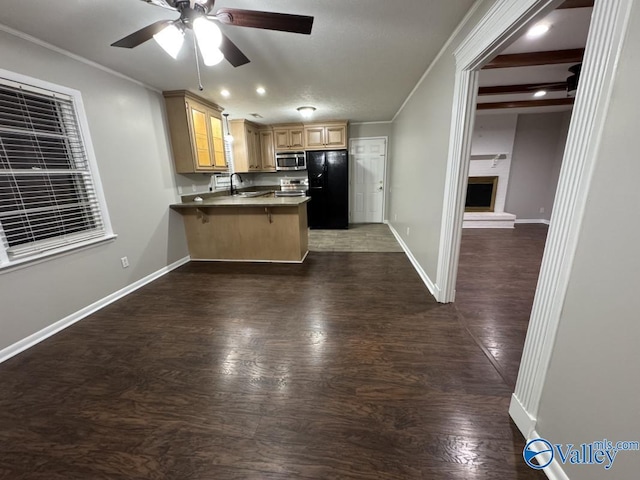 kitchen featuring a ceiling fan, a sink, a peninsula, stainless steel appliances, and dark wood-style floors