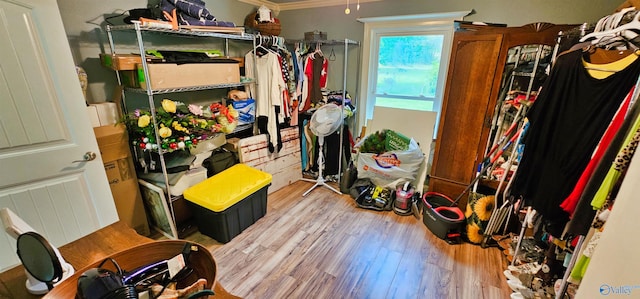 spacious closet featuring light hardwood / wood-style floors