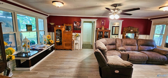 living room featuring ornamental molding, a wealth of natural light, light hardwood / wood-style floors, and ceiling fan