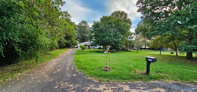 exterior space featuring a yard