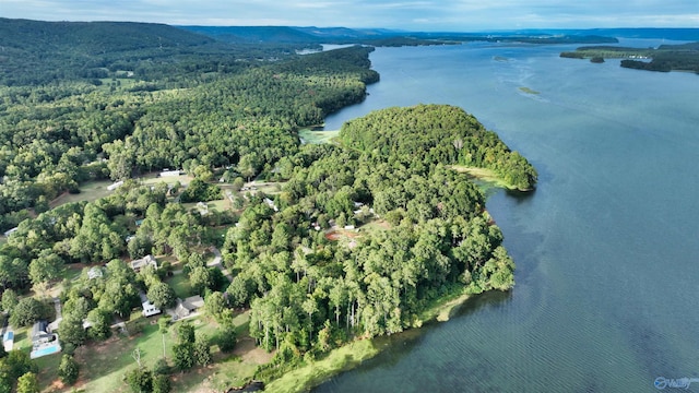 bird's eye view featuring a water and mountain view