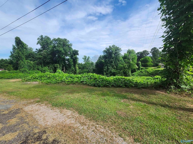 Listing photo 2 for 894 9th Ave, Graysville AL 35073