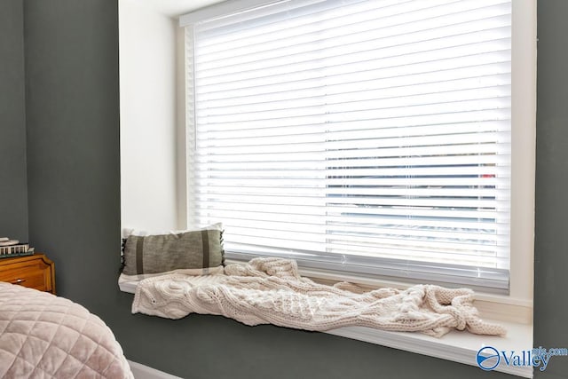 bedroom with multiple windows