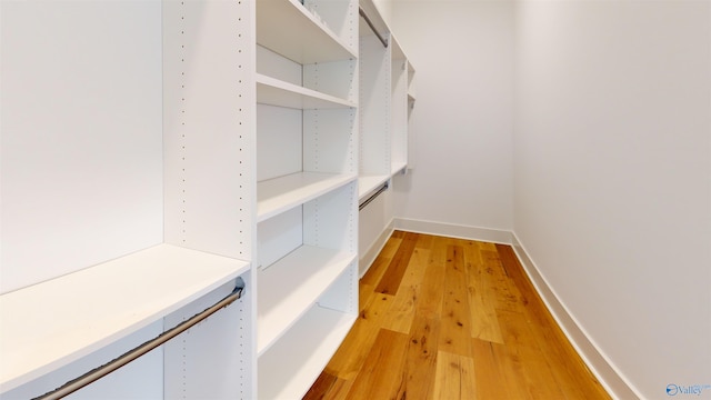 walk in closet with light wood-type flooring