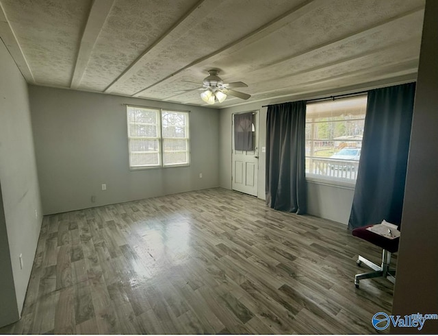 interior space featuring ceiling fan, wood-type flooring, and a wealth of natural light