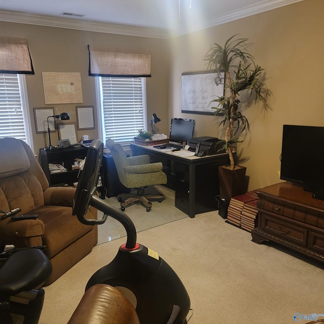 carpeted office featuring crown molding