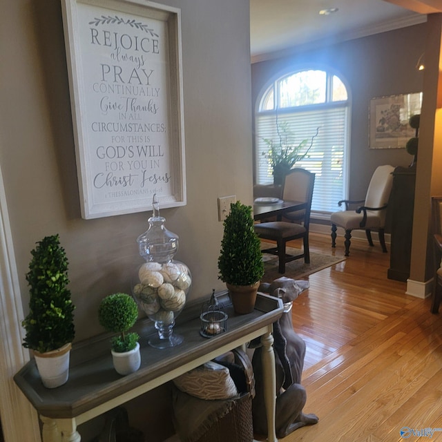 interior space featuring hardwood / wood-style floors and crown molding