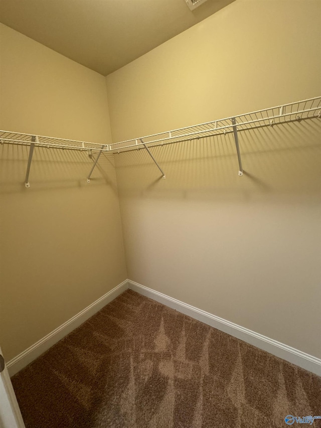 walk in closet with dark colored carpet